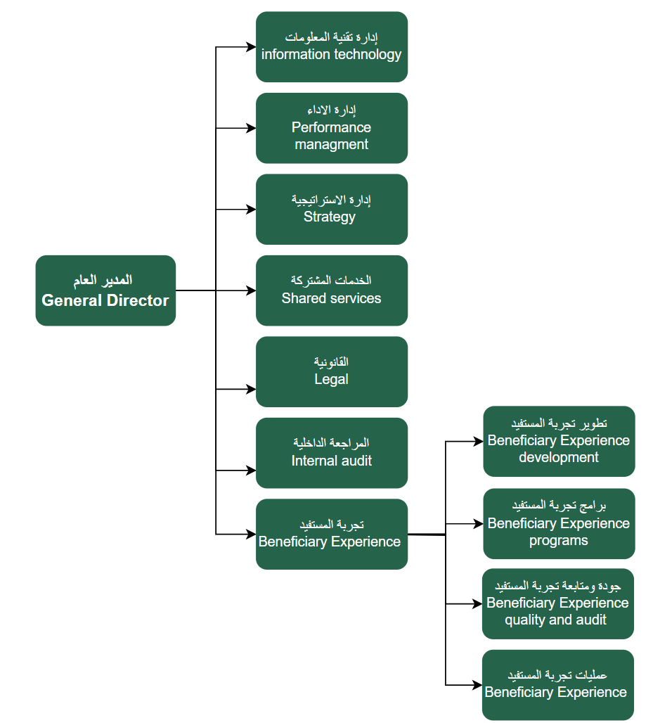 ADAA organizational structure